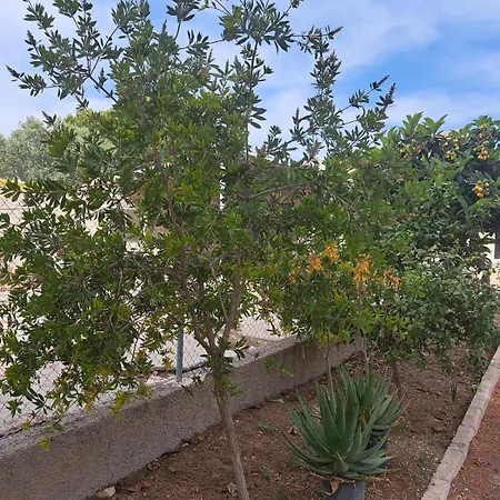 La Casa De La Huerta De *